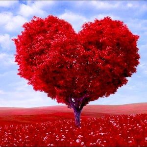 Meet your Posher, Debby